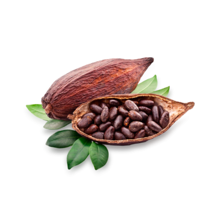 Cocoa Beans