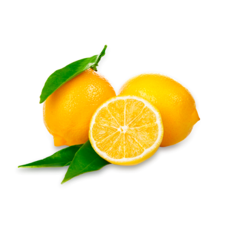 Fresh Orange