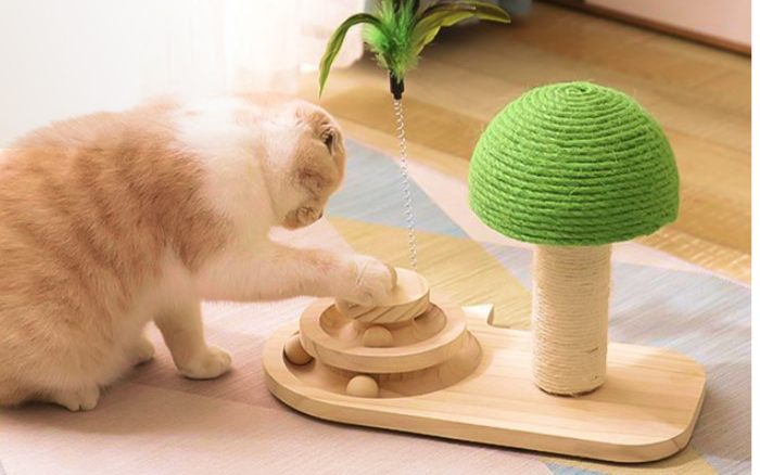 10 Unusual Scratching Posts For Cats!